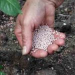 Комплексные минеральные удобрения