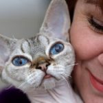 Гипоаллергенные кошки